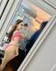 DearAllyka-0287591