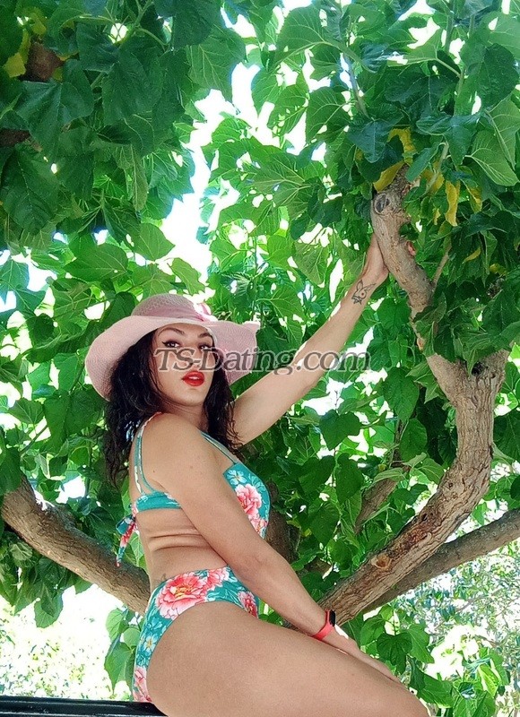 Afrodite22hot - Transsexual (Pre-op)