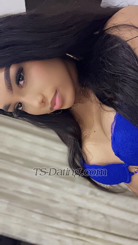 Alejandra Vi - Transsexual (Pre-op)