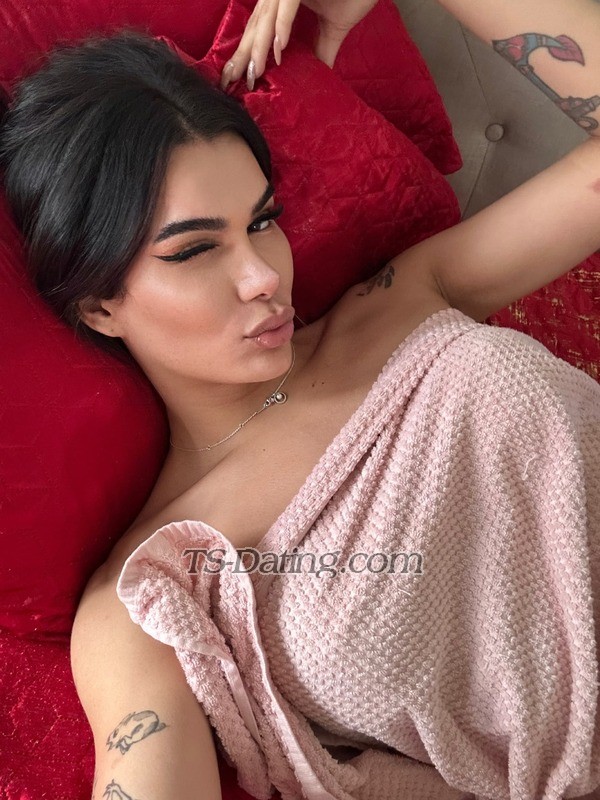 Ariellereis - Transsexual (Pre-op)