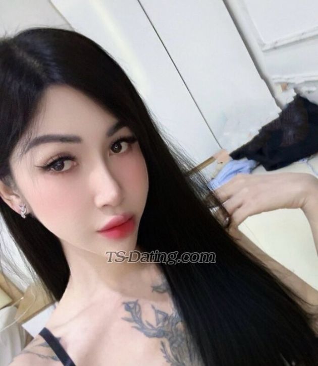 Beedxb97 - Transsexual (Pre-op)