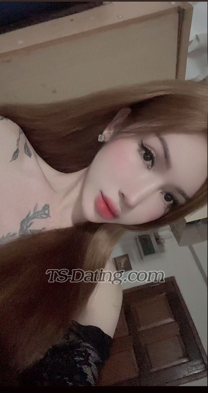 Beedxb97 - Transsexual (Pre-op)
