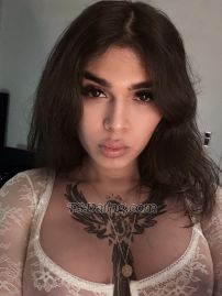 Shemale-CarolinaXl-9213910 video