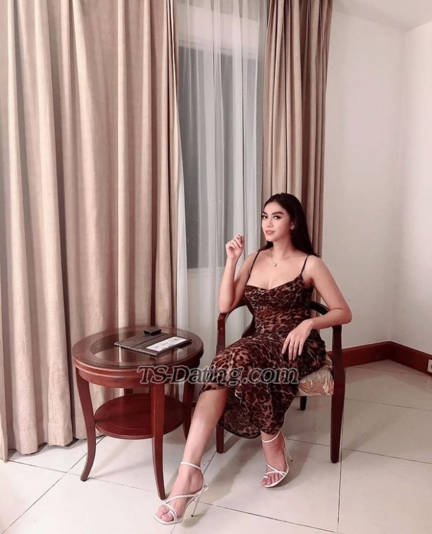 Daniellaestel - Transsexual (Pre-op)