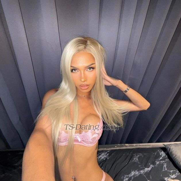 Gazinifox - Transsexual (Pre-op)