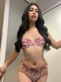 Shemale-Hotnatalie-9149855 video