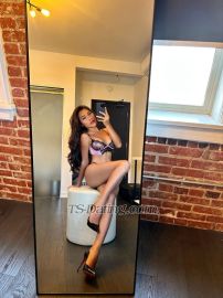 Shemale-Katrinbella-1542741 video