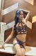 Shemale-KristinBell-5590031