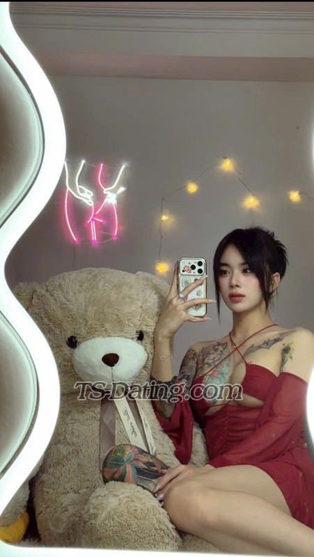 Lylypham99 - Transsexual (Pre-op)