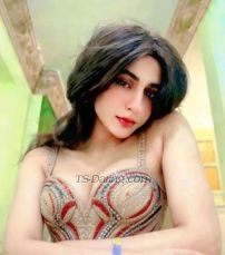 Memo090 Cairo Transex 