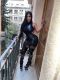Shemale-Michell13-0292582