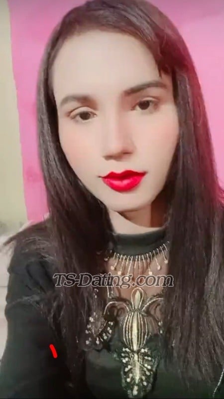 Miss rose - Transsexual (Pre-op)