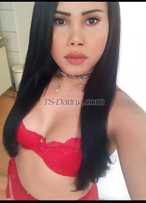 PAULA XXL - Transsexual (Pre-op)