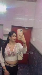 Palak roy23 Kolkata Transex Hello Gentlemen,
This is Palak... a transsexual (Versatile) companion (36 boobs & 7 inch dick) with an elegance and who's unapologetically authentic. 
Telegram username: @palakroy23

I'm a person who is confident, bold, discreet and with a level of sophistication that's evident from the first moment.

I'm not here for just anyone, only for those who truly appreciate a genuine experience.

Refined, polite with an effortlessly captivating energy 

I enjoy connection, chemistry, and letting things flow naturally… without rushing or complications.

If you're looking for something similar... reach out to me over whatsapp or call. I provide both real meeting (incall/ outcall) along with webcam show and roleplays..

I'll also love your evenings, your dinners, your nights if you wish, but only in intimate places, of good taste and of high quality. My education and my refinement allow me to evolve in the world  and I adapt to all situations in which you will be the most satisfied man of the present moment.

So you can figure out further about me once we meet... Till then.... keep your dreams alive...

With love
Palak