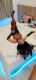 Shemale-Rimi69-7538524
