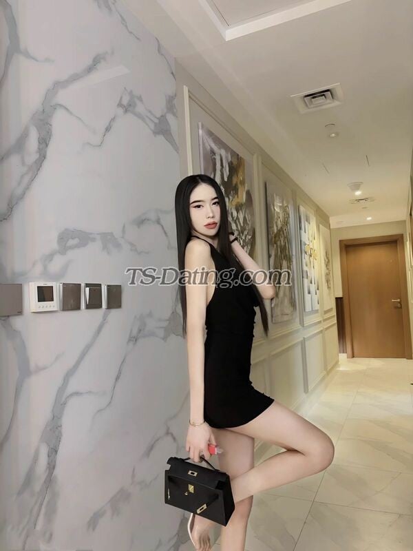 SamyShemale - Transsexual (Pre-op)