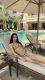 Shemale-SandyVers-5730648