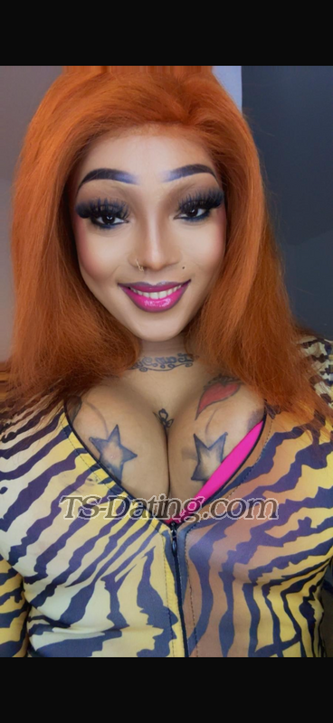 ShakiroBX - Transsexual (Pre-op)