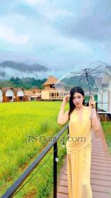 Sundayyyy42 Pattaya Transex 