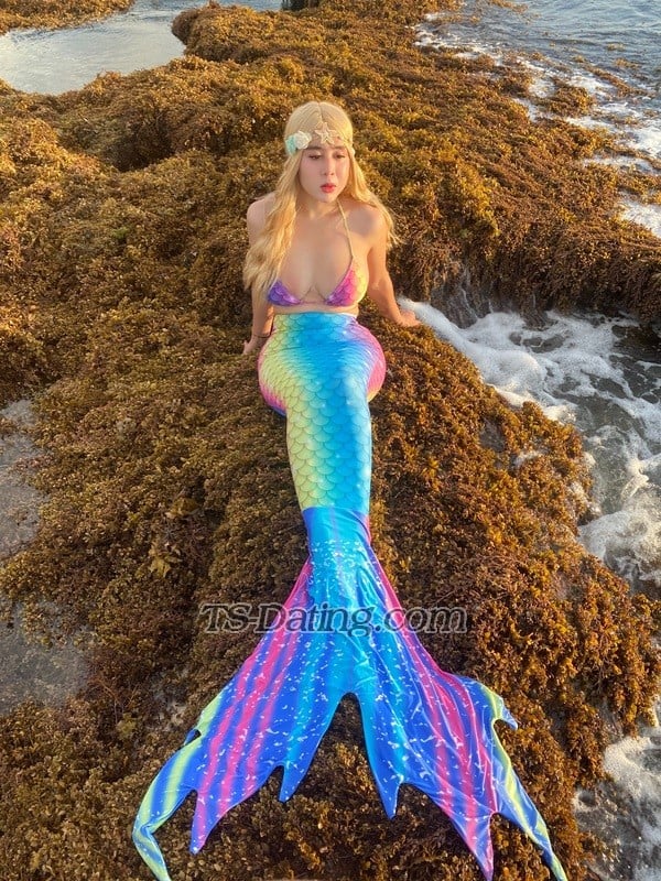TS SAM - Transsexual (Pre-op)