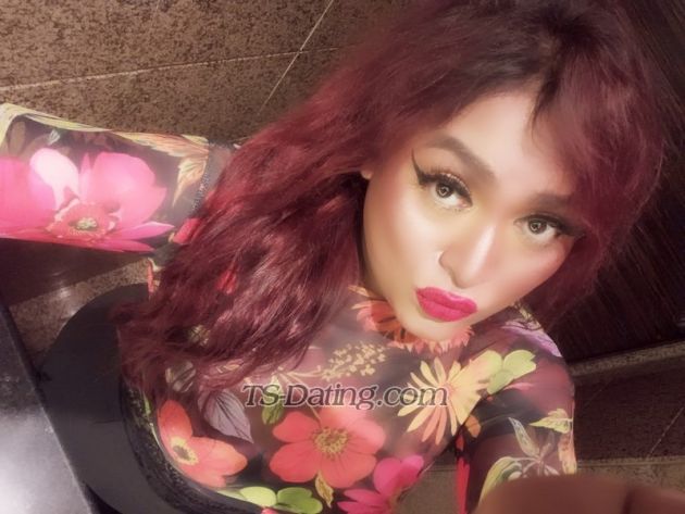 Transprinces - Transsexual (Pre-op)