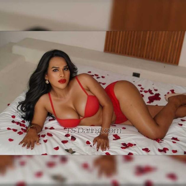 Vhanessa - Transsexual (Pre-op)