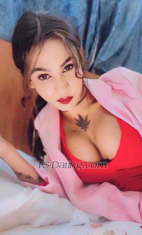 XxxAlina - Transsexual (Pre-op)