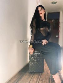 Shemale-aahanaroy-4042156 review