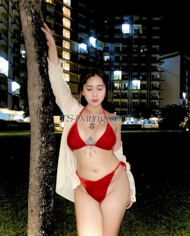 avahfox - Transsexual (Pre-op)