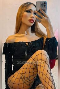 Shemale-kewwa69-1631598 video