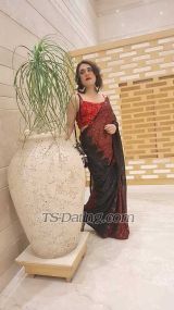 raginirasili Delhi Transex 