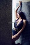 Shemale-scarlett-7478444