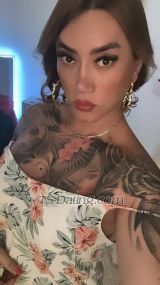 two cocks Saint Julians Transex 