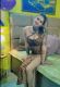 preetkour-4578362